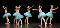 Gala de danse classique juin 2026